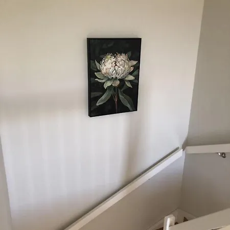 Breim-new In #59 * Ballstad